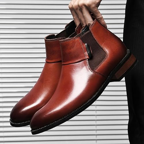 نوفا فيرونا