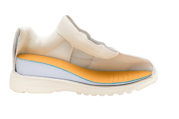 Describes the appearance of the image